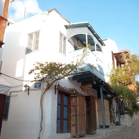 Turqueria Apart * 카스